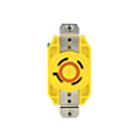 Leviton 24CM-10 20A 125-250V Réceptacle