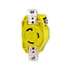 Leviton 26CM-10 30A 125V Réceptacle