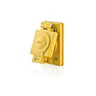 Leviton 60W48 Prise Cr Wdl 20A 250V 1G