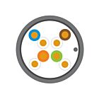 Leviton Lev-11143339 Câble FDT Cat 6A F/UTP