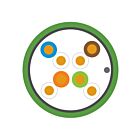 Leviton Lev-11144173 Câble FDT Cat 6A F/UTP