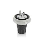 Leviton LNR80-1E Prise 15A 125V