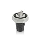 Leviton LNR80-3E Prise 20A 125V