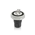 Leviton LNR80-4E Prise 20A 250V