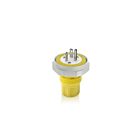 Leviton LNR80-4Y Prise 20A 250V