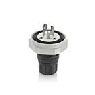 Leviton LNR80-5E Prise 15A 125V