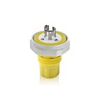Leviton LNR80-5Y Prise 15A 125V