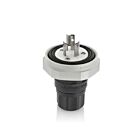 Leviton LNR80-6E Prise 15A 250V