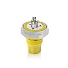 Leviton LNR80-6Y Prise 15A 250V
