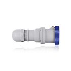 Leviton W2125-C6 Connecteur à broche et manchon Box Bu 2P3W 125A 200-250V Position horloge 6 heures