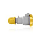 Leviton W232-C4 Entrée de montage sur panneau de configuration internationale