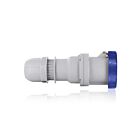 Leviton W3125-C9 Connecteur à broche et manchon de calibre international 125A