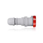 Leviton W4125-C6 Connecteur à broche et à manchon évalué en boîte 4P5W 125A 346-415V Position d'horloge sur 6 heures