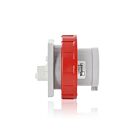 Leviton W432-B11 Entrée à broche et manchon de classe internationale 32A