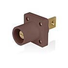 Leviton 16R33-B1H Marron Prise mâle série 16
