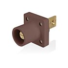 Leviton 16R33-H Marron Prise mâle série 16