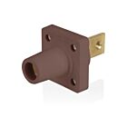 Leviton 16R34-B1H Marron Prise femelle série 16