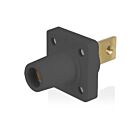 Leviton 16R34-BE Noir Prise femelle série 16