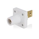 Leviton 16R34-BW Blanc Prise femelle série 16