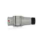Leviton ARC60P047 Gris Fiche à broche et douille