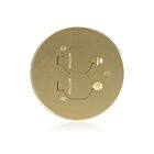 Leviton FBCCF-B Laiton Plaque de recouvrement pour boîte de sol en béton