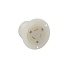 Leviton Lev-2346 20A 480V Blanc Réceptacle