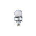 Ampoule A21 LED pour rénovation à haut rendement Light Efficient Design LED-8015E30-G2 14W