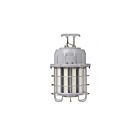 Éclairage de travail économique LED Light Efficient Design LED-9009-100-5C 100W