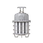 Éclairage de travail économique LED Light Efficient Design LED-9009-100-5F 100W