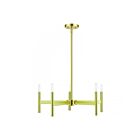 Livex Lighting 51175-12 5-Lumières 300W Laiton satiné Lustre