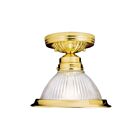 Livex Lighting Home Basics 6006-02 1-Lumière 100W Luminaire de plafond