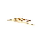 Lotus LED LBL-MC-240-24V-8MM 16.4' Strip linéaire LED