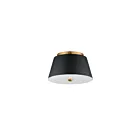 Maxim Lighting 10710WTBKNAB 1-lumière 20W Noir/laiton vieilli naturel Plafonnier encastré
