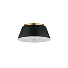 Maxim Lighting 10719WTBKNAB 1-lumière 30W Noir/Laiton vieilli naturel Plafonnier encastré