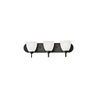 Maxim Lighting 11383FTBK 3-lumières 180W Noir Luminaire de vanité