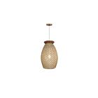 Maxim Lighting 14922NA 1-Lumière 60W Bronze foncé Suspendu