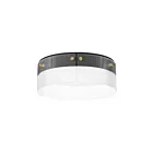 Maxim Lighting 21190CRBKNAB 1-lumière 20W Noir/Laiton vieilli naturel Plafonnier encastré