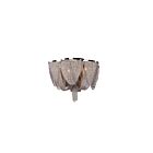 Maxim Lighting 21460NKPN Chantilly 6-lumières 3W Nickel poli Plafonnier encastré