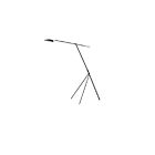 Maxim Lighting 21694BKSBR Scan 1-Lumière 6.5W Noir/Laiton satiné Lampe sur pied LED