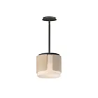 Maxim Lighting 21714SWNWDCHL 1-Lumière 60W Noir Suspendu