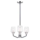 Maxim Lighting 26124CLBKSN Goblet 3-Lumières 180W Noir/Nickel satiné Incandescence Lustre