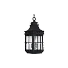 Maxim Lighting 30088CDCF Nantucket 3-Lumières 180W Lanterne Extérieur