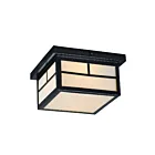 Maxim Lighting 4059WTBK Coldwater 2-lumières 60W Traduire Plafonnier encastré
