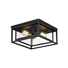 Maxim Lighting 40661CDBK 2-lumières 120W Noir Plafonnier encastré