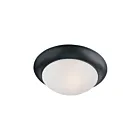 Maxim Lighting 5850FTBK Essentials 1-lumière 60W Noir Plafonnier encastré