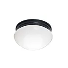 Maxim Lighting 5881WTBK Essentials 2-lumières 60W Noir Plafonnier encastré