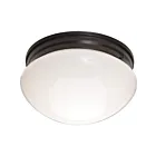 Maxim Lighting 5881WTOI Essentials 2-lumières 60W Bronze huilé Plafonnier encastré