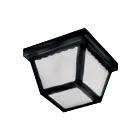 Maxim Lighting 6204FTBK Essentials 2-lumières 60W Noir Plafonnier encastré