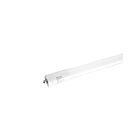 Maxlite L38T8DEFA850-CG 38W 8' T8 LED Tube