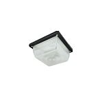 Lentille descendante pour un canopée mince Naturaled LENS-SCM-DR9X9 (VENTE FINALE)